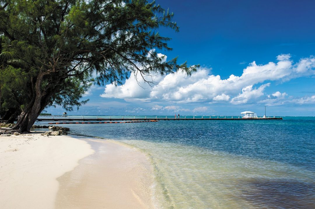 Isole Cayman, guida alla vacanza sogno 