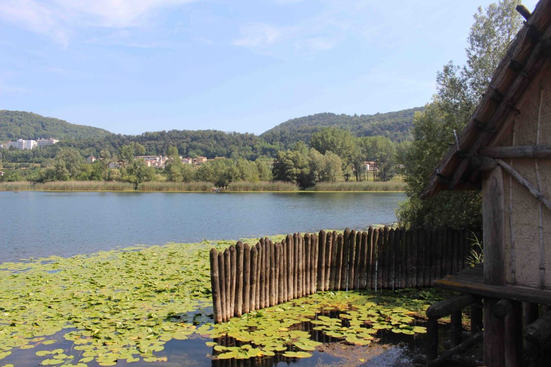 Parchi didattici in Veneto: a scuola nella natura 