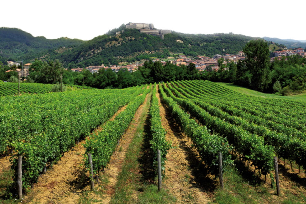 Alla scoperta dei Beni Unesco, tra Monferrato e Liguria