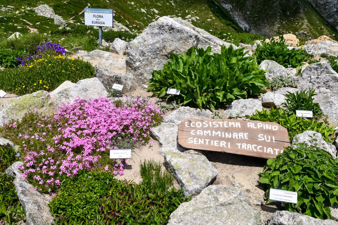 Giardino Botanico Alpino di Saussurea (Valle d'Aosta)