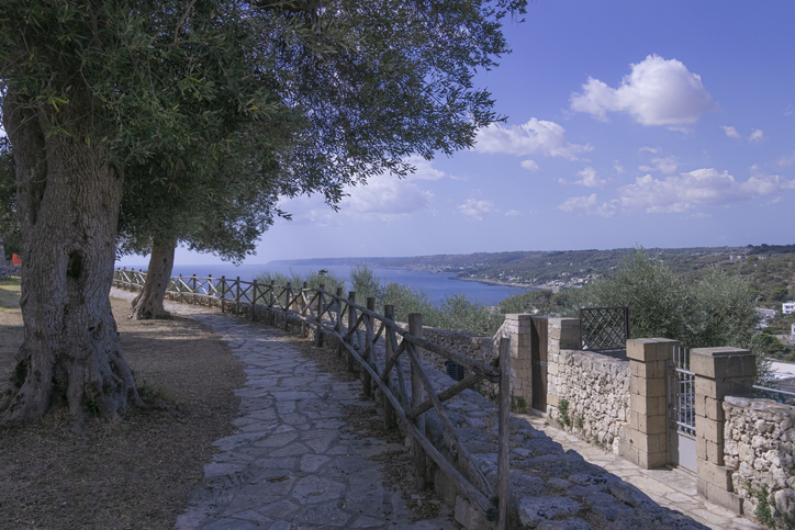 Meraviglie della natura in Puglia: la Grotta Zinzulusa, dove si trova e come arrivarci