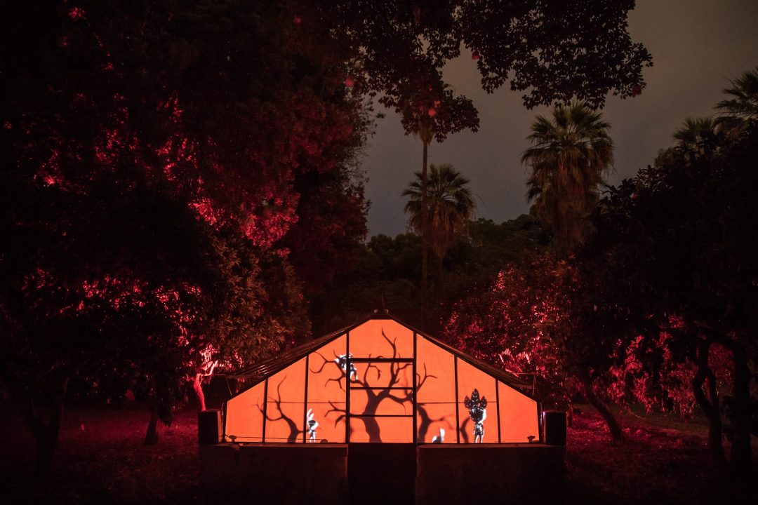 “Anima mundi”, l’Orto Botanico di Palermo si illumina con un’installazione multimediale