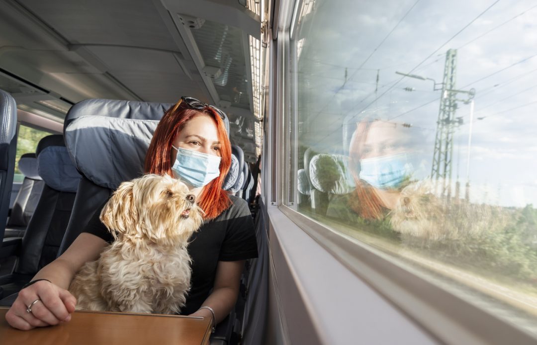 In treno con gli animali