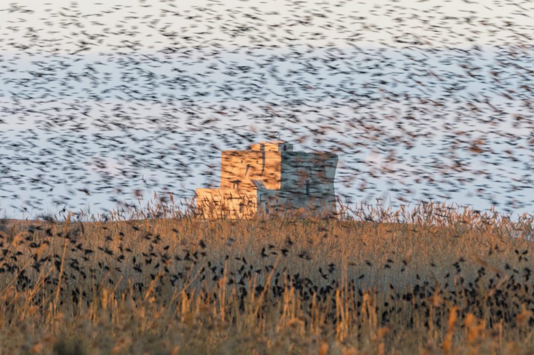 “Effetto clima”: gli scatti di Sergio Pitamitz e una tavola rotonda a San Vigilio di Marebbe