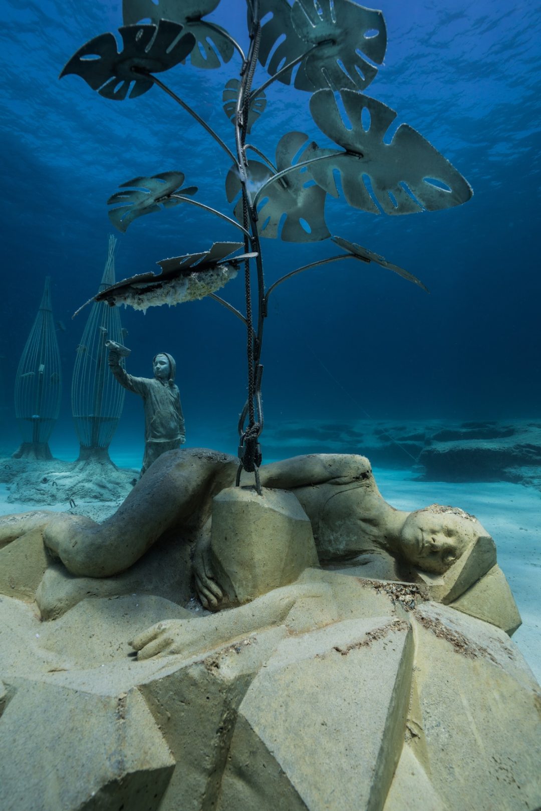Una “foresta dei sogni”: lo spettacolare museo sottomarino sui fondali di Cipro