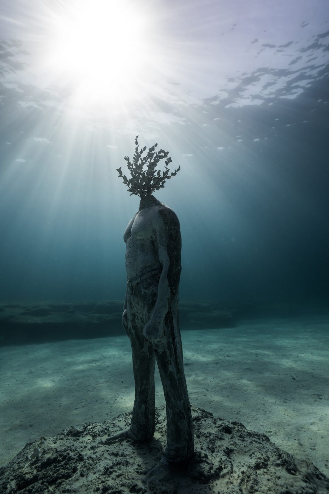 Una “foresta dei sogni”: lo spettacolare museo sottomarino sui fondali di Cipro