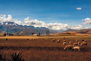 Viaggio in Perù, il cuore sacro degli Inca