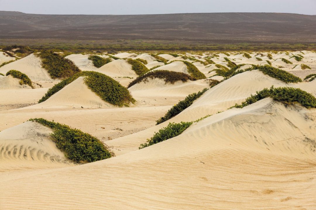 Capo Verde: Sal e Boa Vista, rotte vista Africa