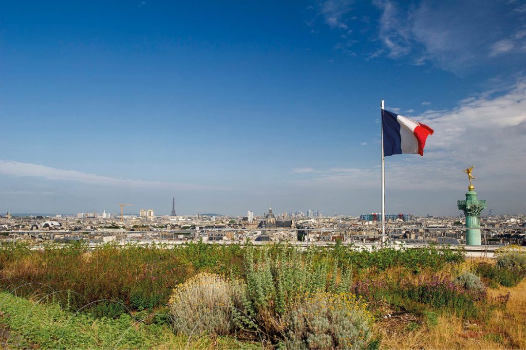 Com’è verde l’orizzonte: viaggio tra gli orti urbani sui tetti di Parigi