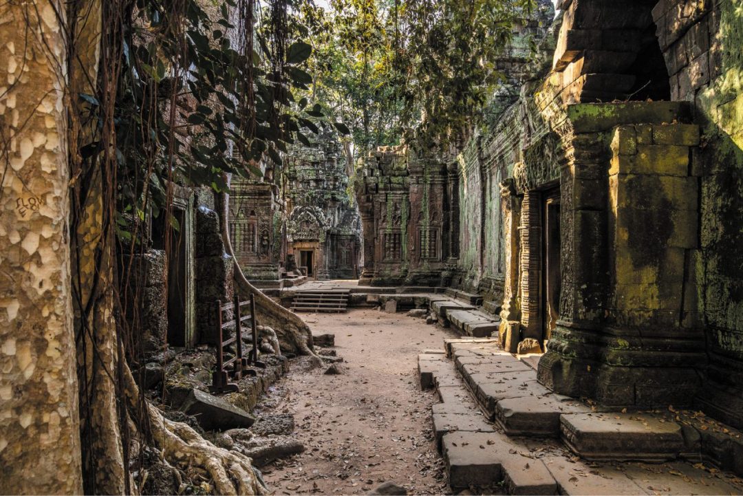 Cambogia, pietre e radici: le meraviglie di Angkor e del Tonle Sap