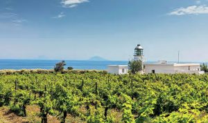 Cantine e wine resort in Sicilia: tra mare, vigneti e ospitalità di antica tradizione