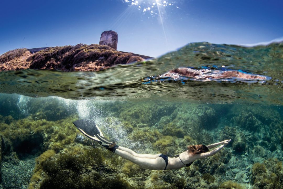 Asinara, il volto primordiale (e sostenibile) della Sardegna