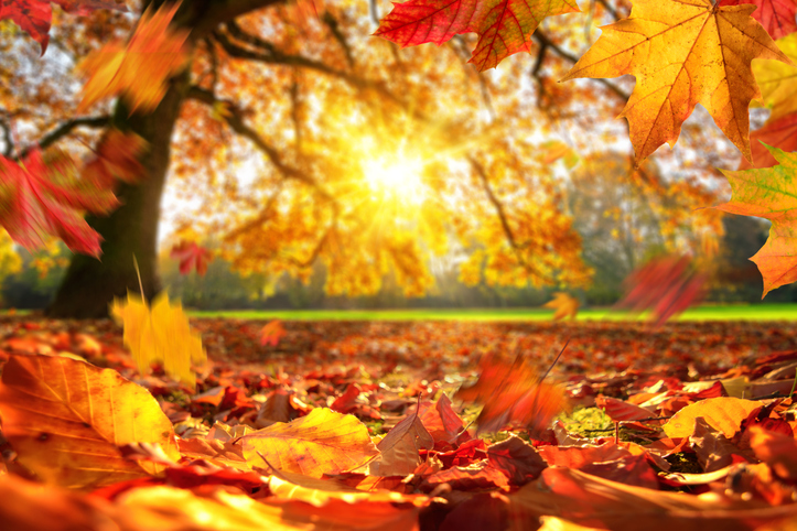 Perché la data dell'equinozio d'autunno può cambiare da un anno all'altro?