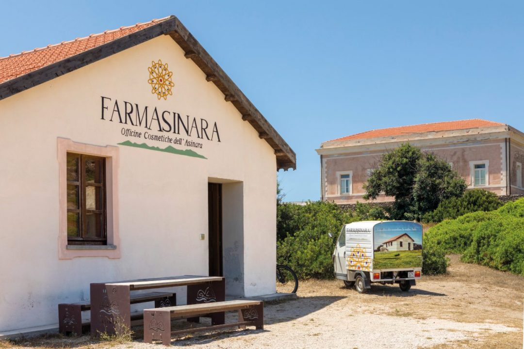 Asinara, il volto primordiale (e sostenibile) della Sardegna