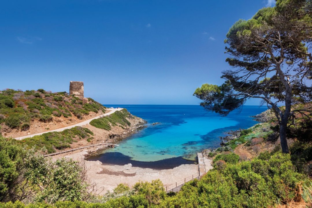 Turismo sostenibile all'Asinara