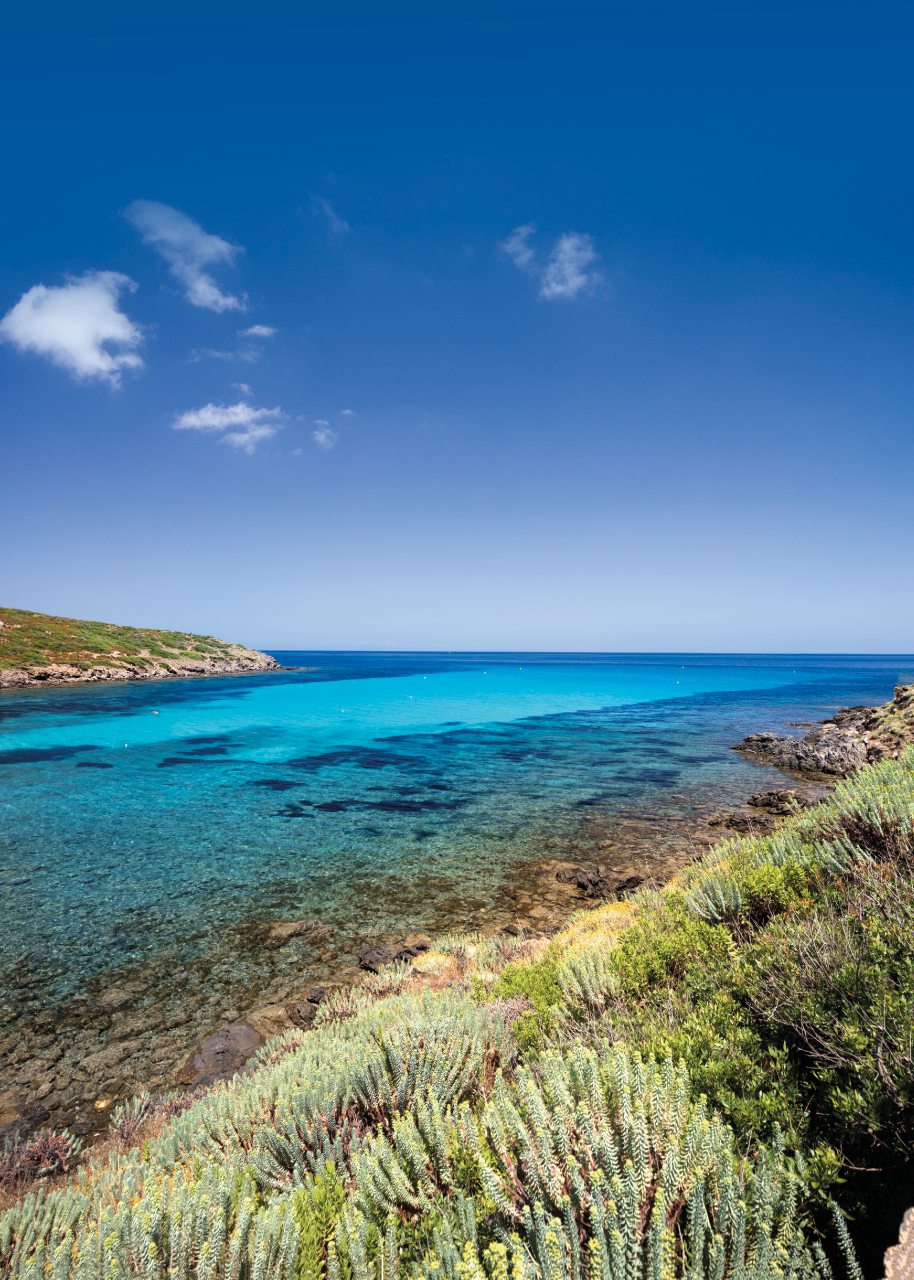 Asinara, il volto primordiale (e sostenibile) della Sardegna