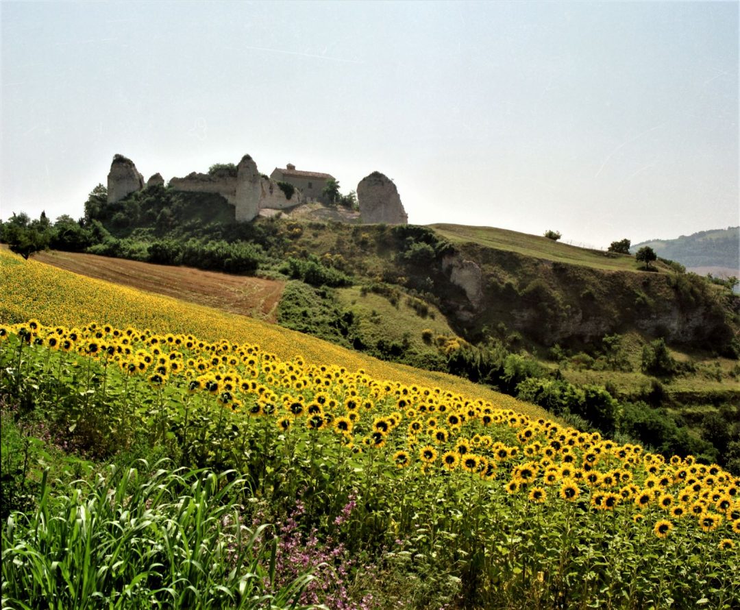 Fossombrone Marche Giornate dei Castelli