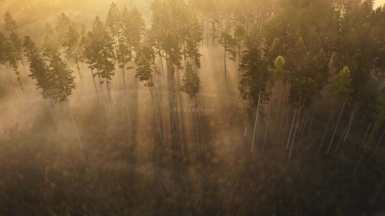 Drone Photo Awards 2021: il video magico della Moravia in autunno