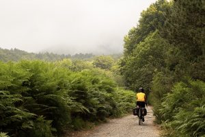 Nasce la Ciclovia dei Parchi della Calabria: un viaggio nel verde lungo 545 chilometri