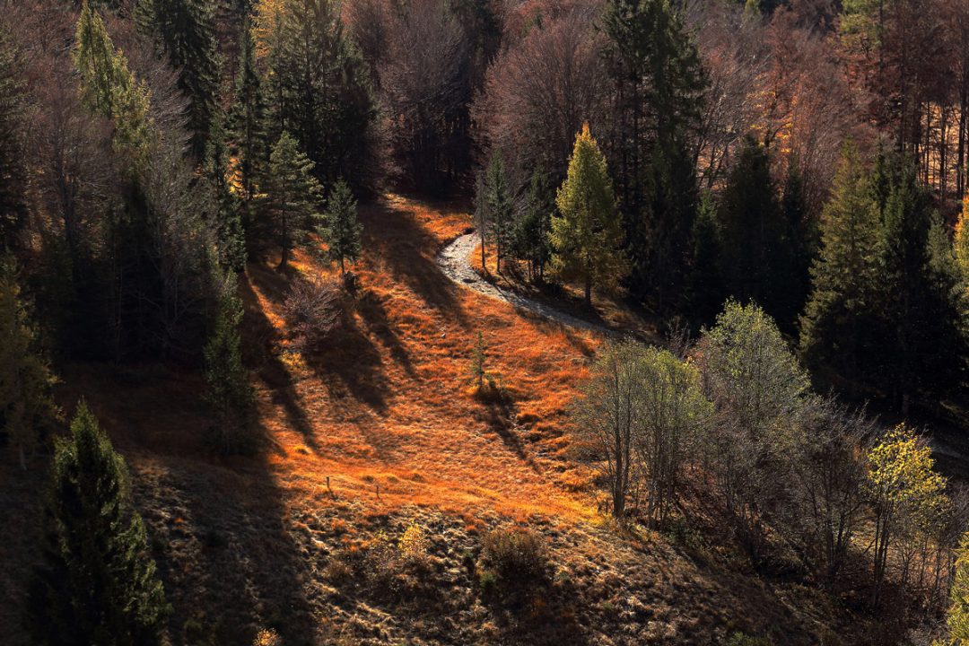 Weekend d’autunno: itinerari green tra borghi, natura e cantine
