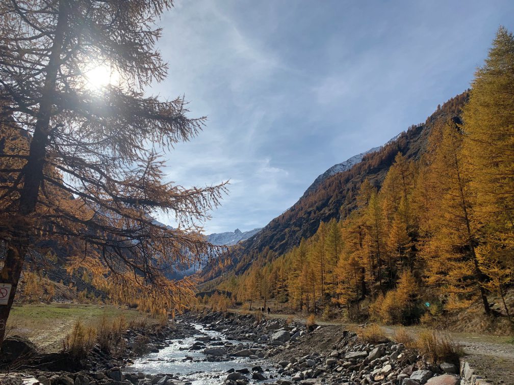 Weekend a Cogne tra orti, vigne e botteghe: profumi e sapori d’autunno in Valle d’Aosta