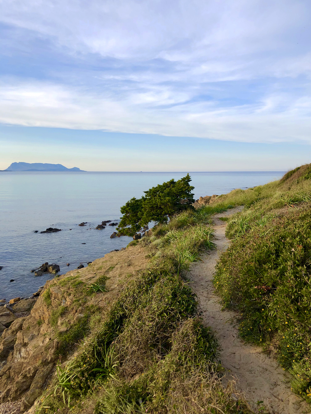 Passeggiate vista mare