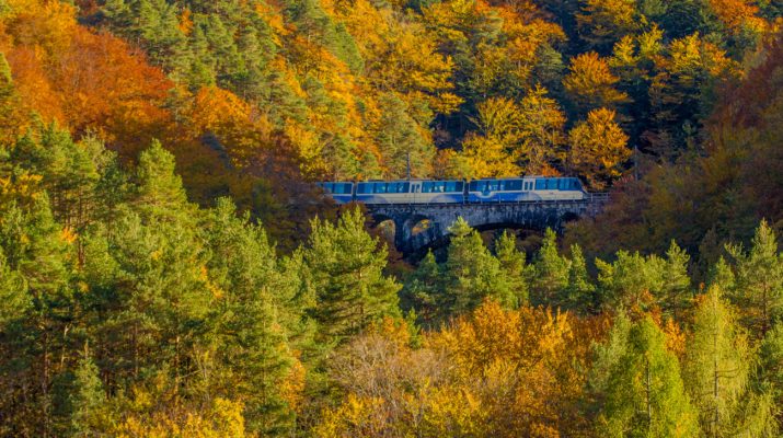 Foto Treno del foliage: l'autunno dà spettacolo tra la Val Vigezzo e il Canton Ticino