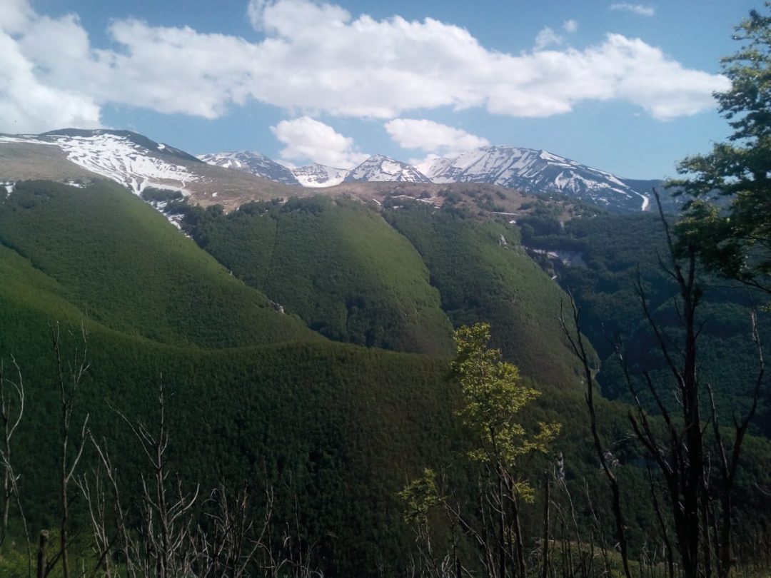 Turismo sostenibile: il lodge nel Parco della Majella nato dalla ristrutturazione di un ecomostro