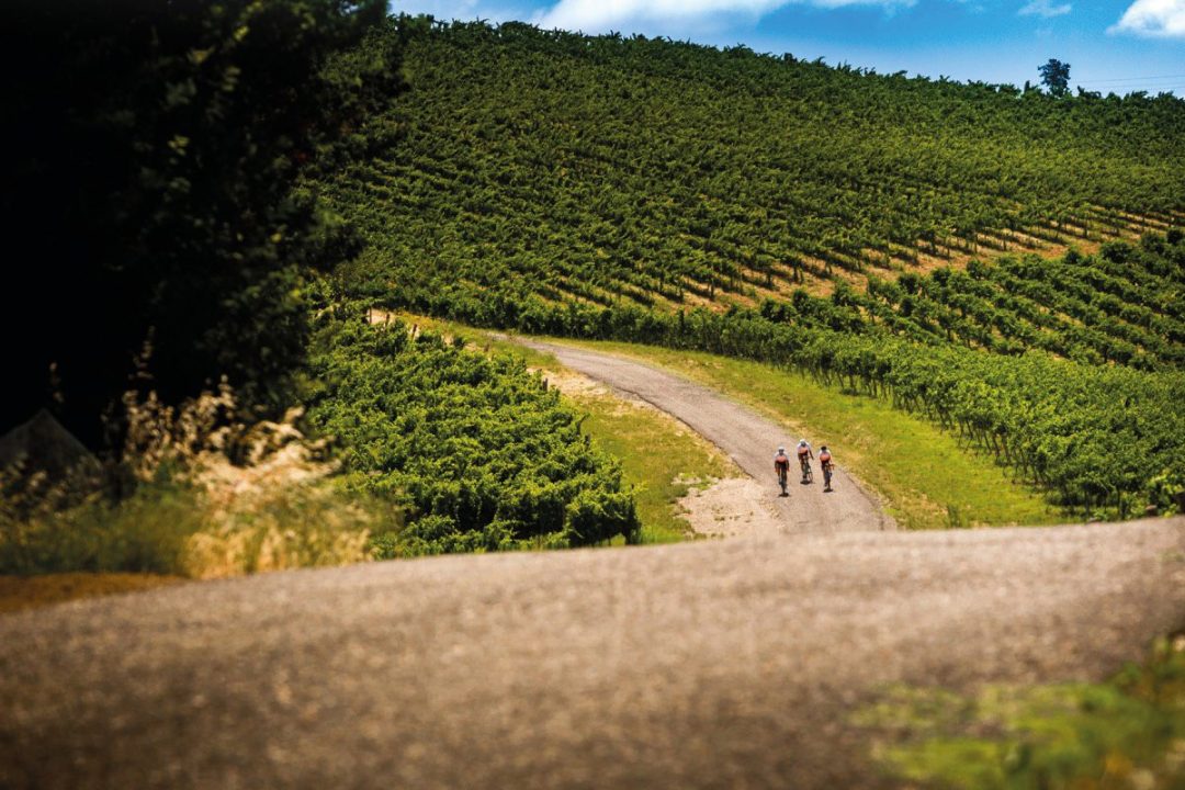 Road to Riesling, Oltrepò Pavese