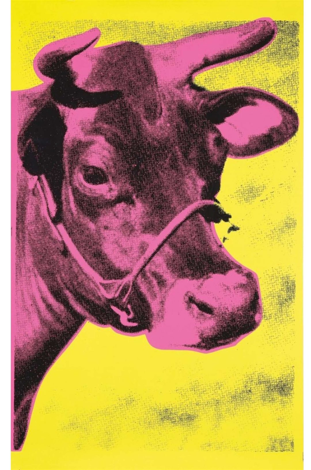 Cow (1966-1976)