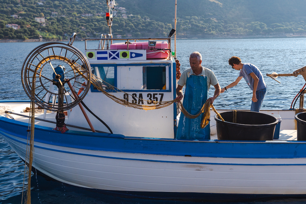 Dieta Mediterranea - la pesca delle alici di Menaica, presidio slow food