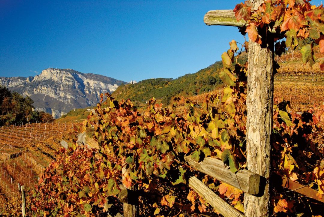 Trentino: una vacanza nella natura, tra vigne e musei a cielo aperto