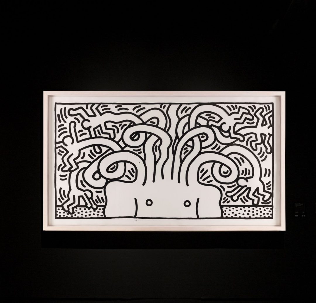 Keith Haring a Pisa: 170 opere in mostra a Palazzo Blu. Omaggio al padre della Street Art nella città del suo murale