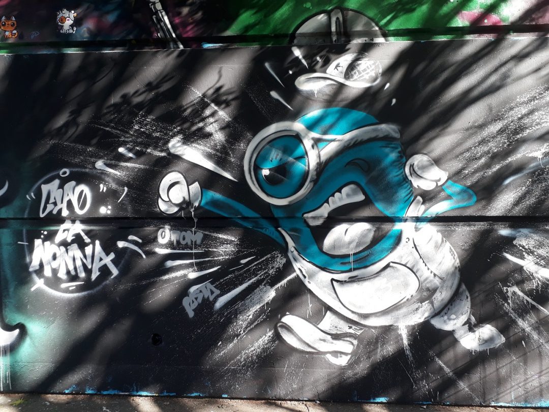 Nizza e la street Art