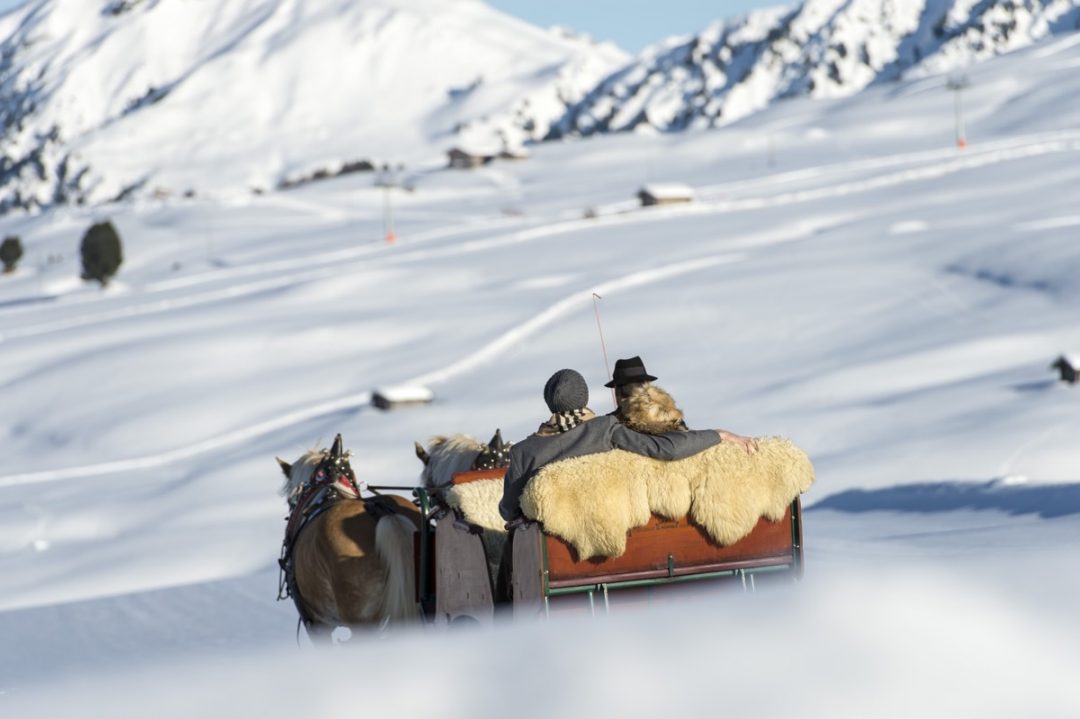In carrozza sulla neve: le 10 passeggiate sulla slitta più belle dell’arco alpino