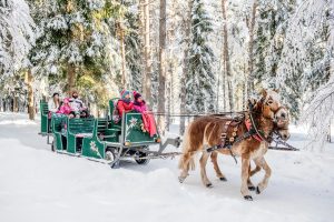 In carrozza sulla neve: le 10 passeggiate sulla slitta più belle dell'arco alpino