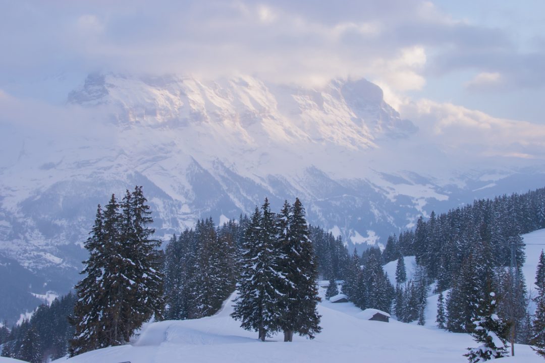 sciare in Svizzera