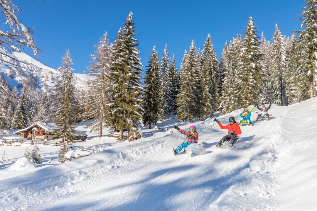 Ski Area Bellamonte-Alpe Lusia, Trentino