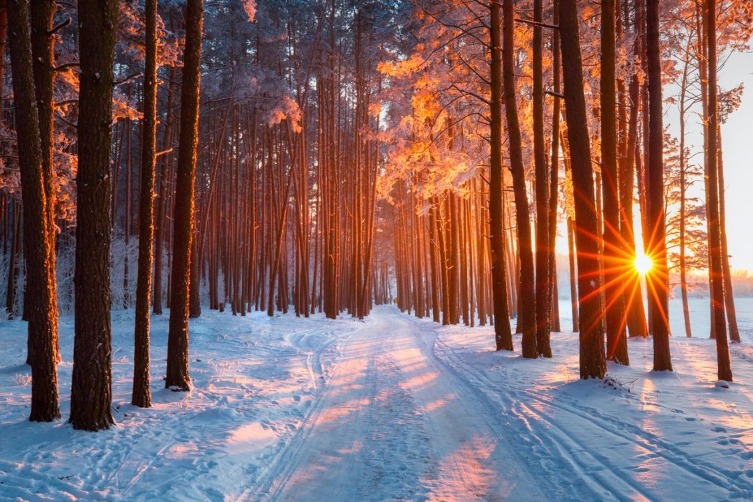 Buon solstizio inverno 2023: frasi, citazioni, poesie e aforismi sull'inverno