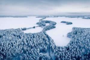 Finlandia in inverno: esperienze sul lago tra natura, cultura e sapori genuini