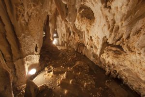 Grotte di Toirano: incredibili tesori sotterranei, cercando tra le stalattiti l'orso del Pleistocene