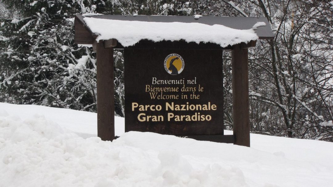 Il Parco Nazionale del Gran Paradiso compie 100 anni: scopritelo con noi