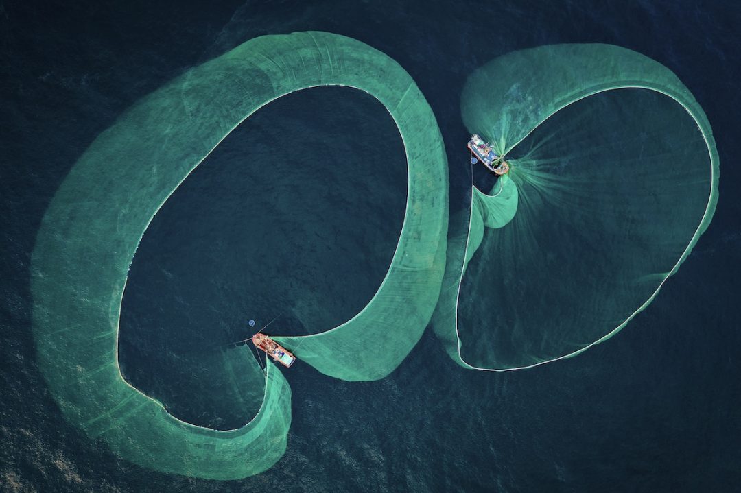 Creature fantastiche sott’acqua: i vincitori dell’Underwater Photographer of the Year 2022