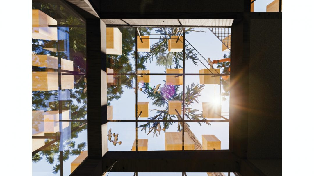 Svezia, la stanza d’hotel sospesa tra gli alberi. E rivestita di 350 casette per uccelli
