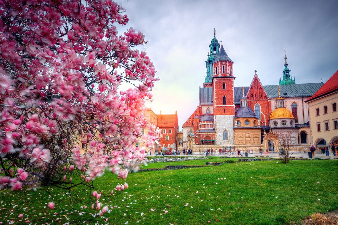 Sorpresa Polonia: viaggio di primavera per scoprire il Paese (anche in bici)