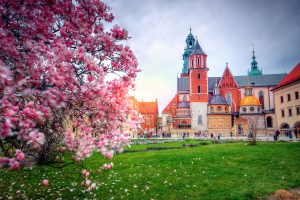 Sorpresa Polonia: viaggio di primavera per scoprire il Paese (anche in bici)