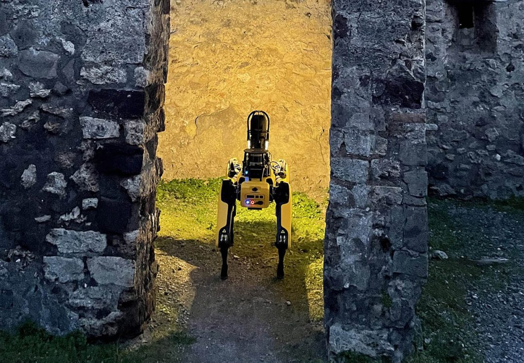 Pompei cane robot