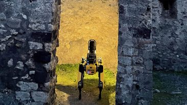Pompei cane robot