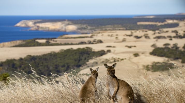 Foto Australia: la natura dà spettacolo. Ecco i luoghi perfetti per uno scatto da cartolina