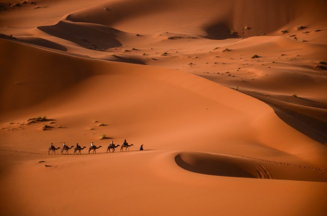 Esperienze: Camel trekking